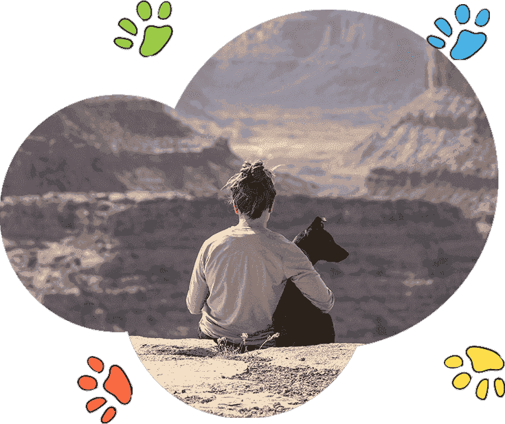 即时处理的安卓ddos攻击工具